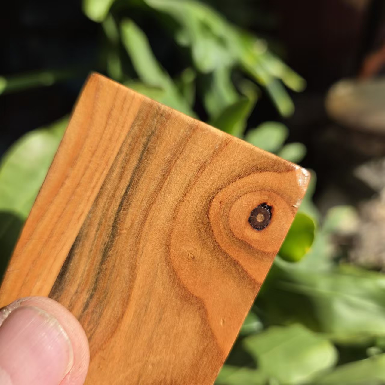 1742113777180110.jpg f8a6e7692d95e2ba6212b6f175006ca.jpg