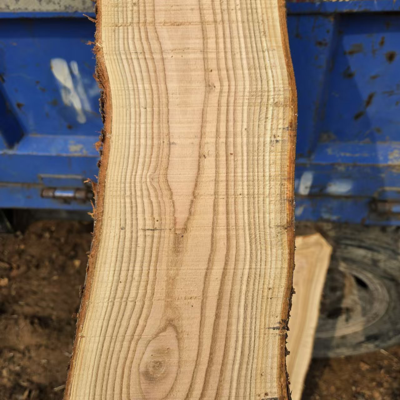 1741656778151704.jpg 5e374896731361174894a25bfc0777f.jpg