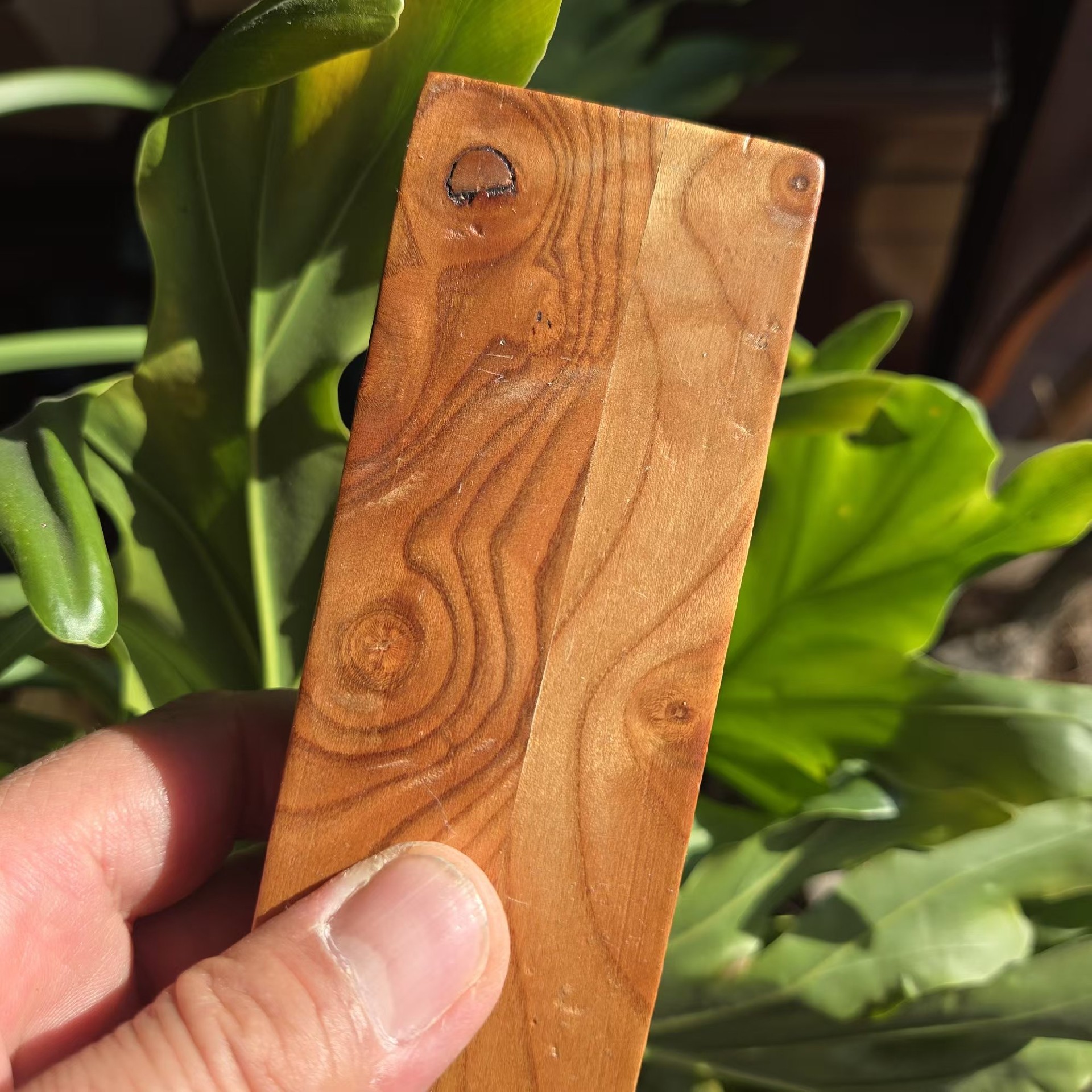 1742113710915675.jpg a591b2703c1febccf964ff8bb207c91.jpg