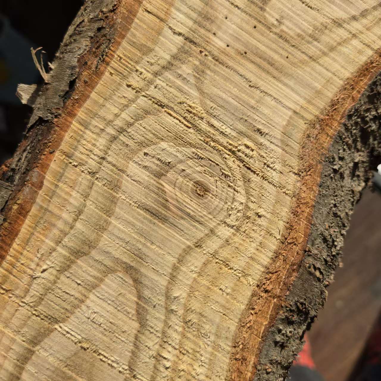 1742113796129855.jpg 1426b963b9d7897c916e2fc095d74d0.jpg