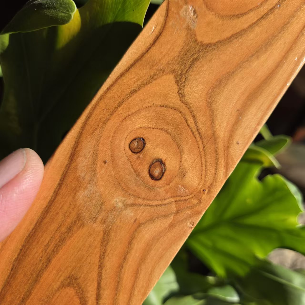 1742113757141189.jpg 2d7b01f2b43e9dcfc9ebd1624b59e49.jpg