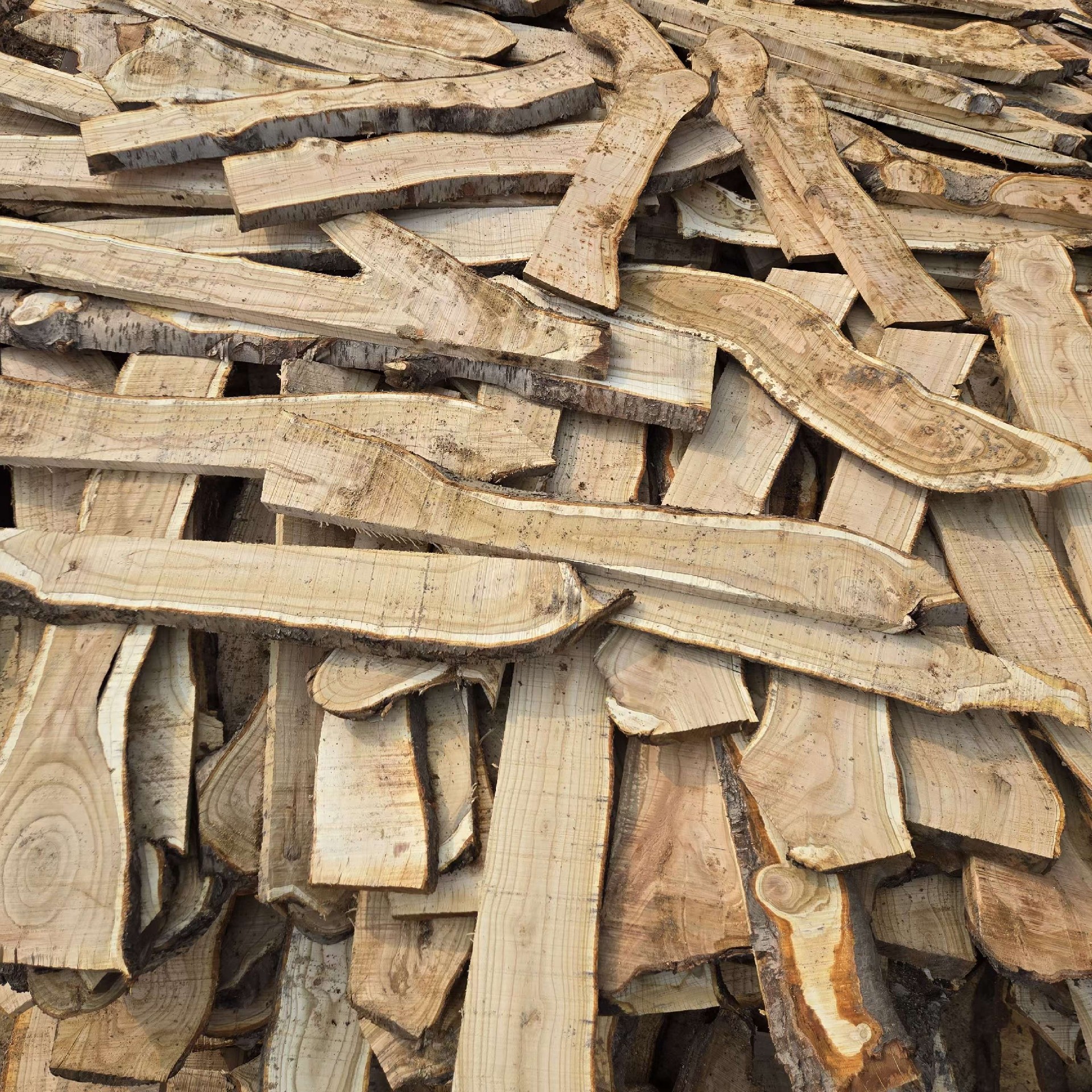 1741659635185309.jpg 977112d0d4789a7fd04d4d5eca45e77.jpg