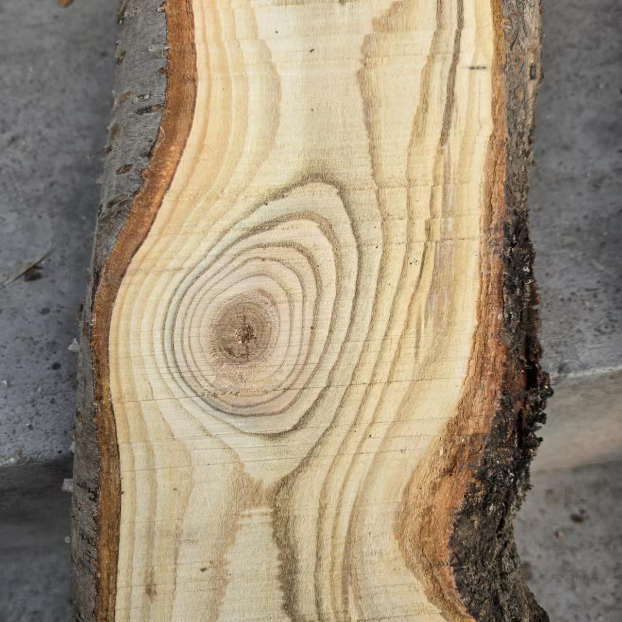 1741567792513520.jpg 4b3ba37e0b1fd9ca9ac5a6649d47923.jpg