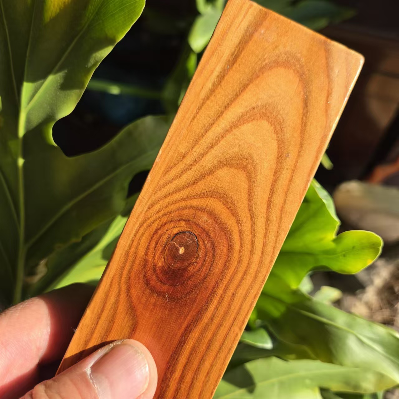 1742113735194697.jpg 27599bf57387feccf40fe228cc2686a.jpg